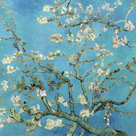 Van Gogh amandier en fleurs